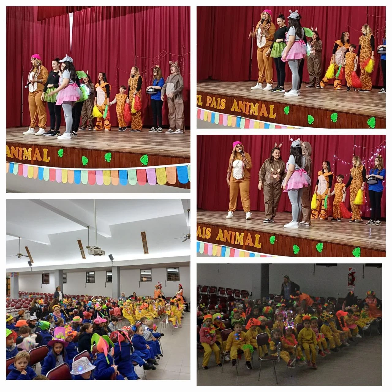 Profesorado de Educación Primaria